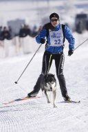 Lenk 2013